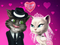 Свадьба кота Тома и кошки Анжелы